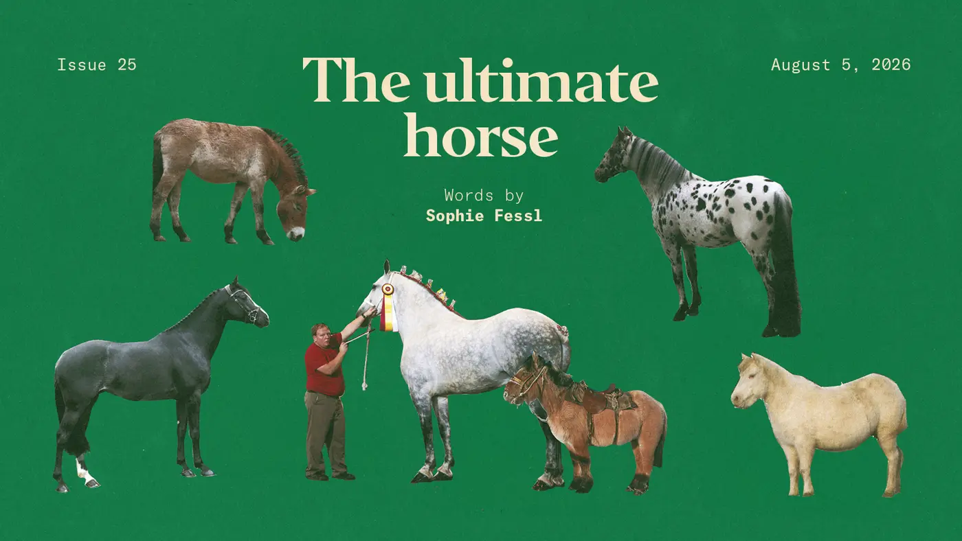 the ultimate horse