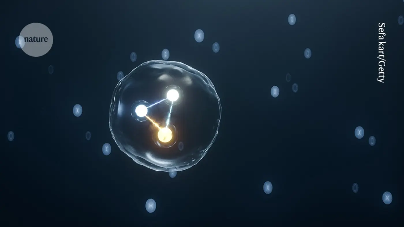 a particle made of force physicists say theyx27ve found mysterious x27glueballx27