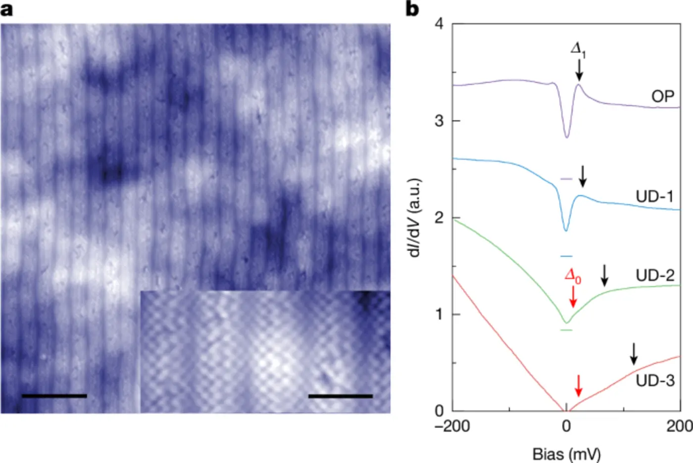 superconducting monolayer cuprate with a single cuo2 plane