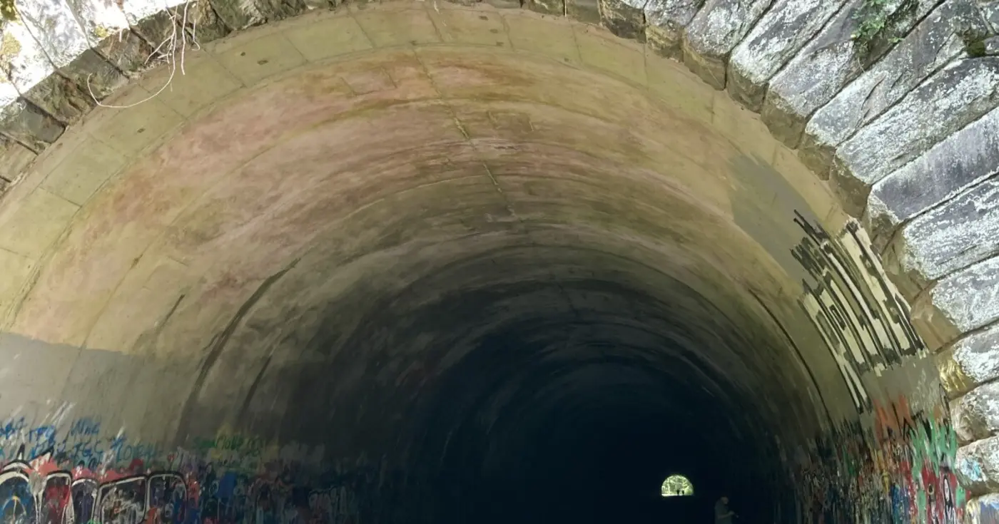 the deep history behind the road to nowhere inside the great smoky mountains