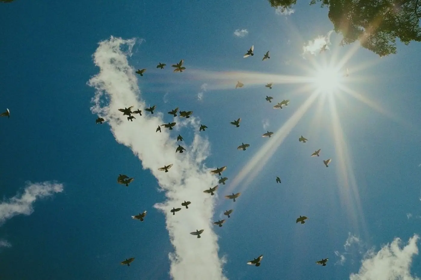flock safety changes system defaults in response to criticisms