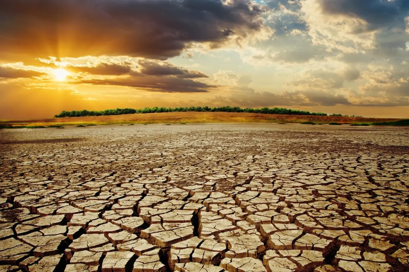 causation in climate change icjx27s climate change advisory opinion re tort law