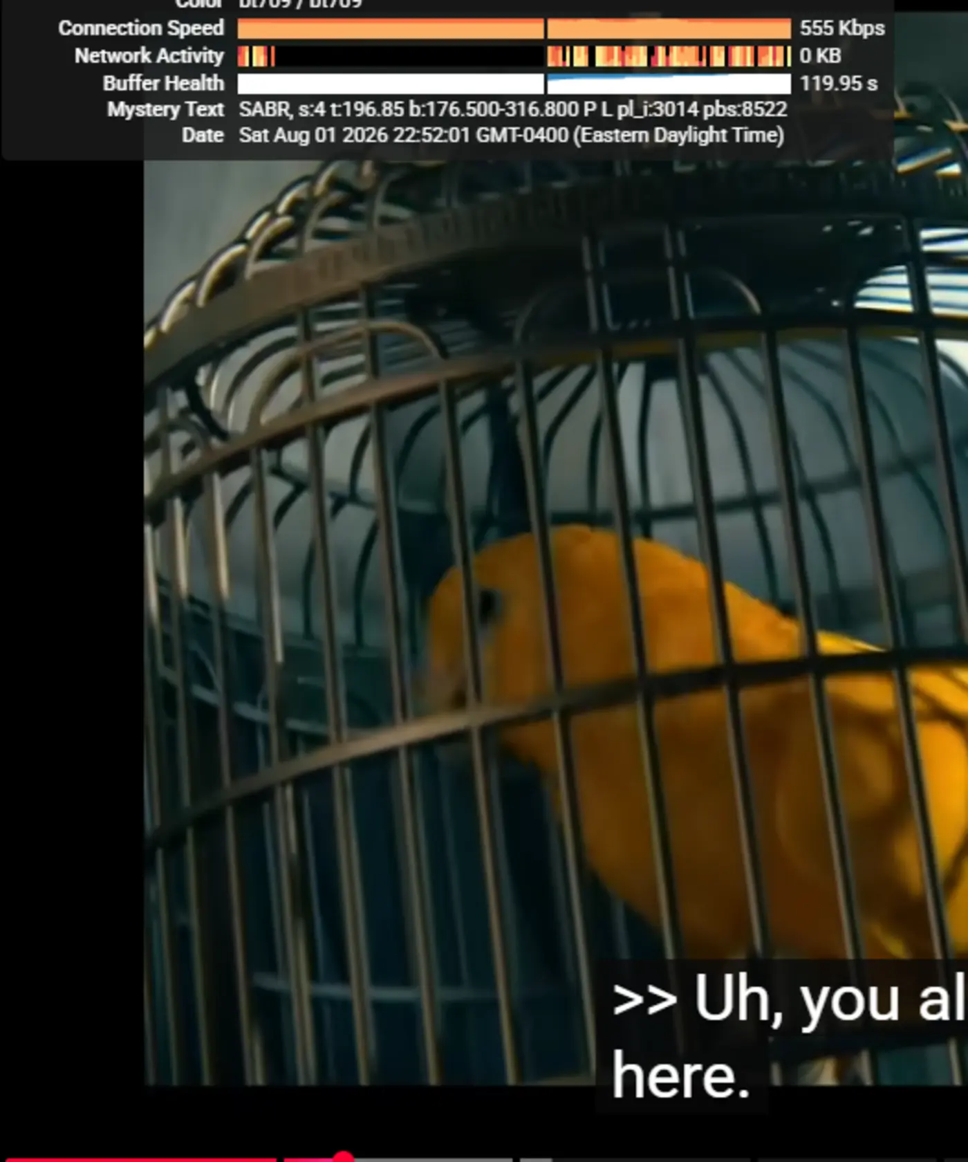 youtube dumps cache between ads quality toggling and wastes cellular bandwidth