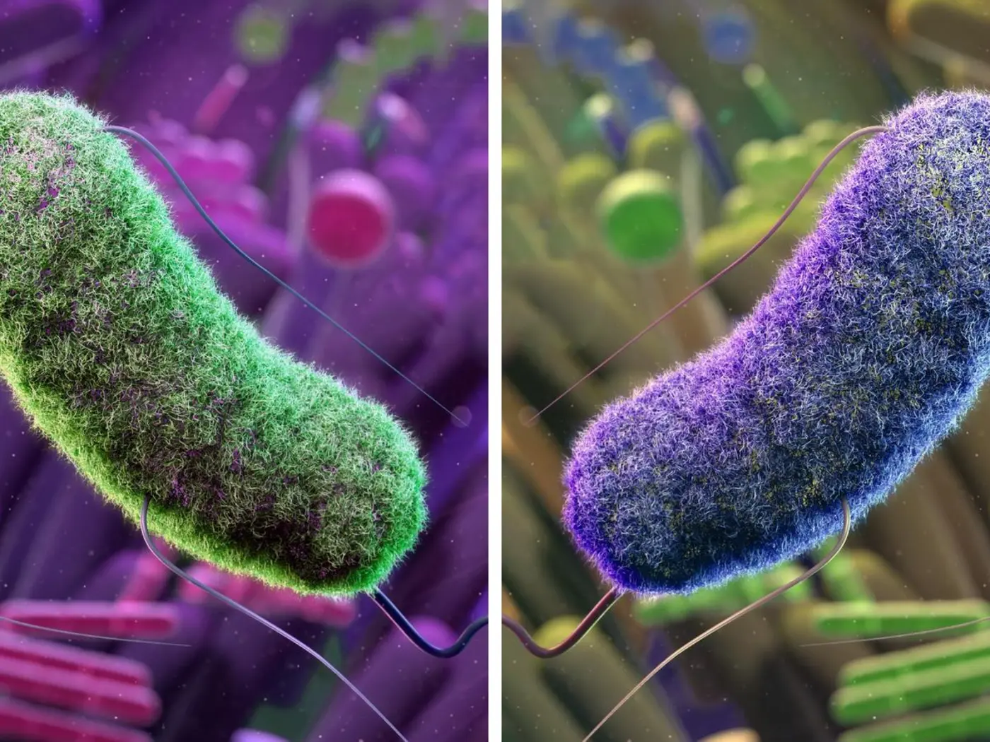 a us strategy to prevent the creation of mirror life