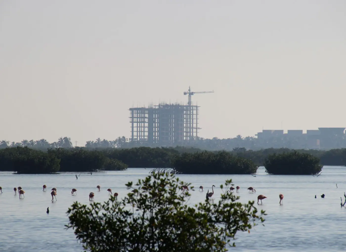 mexico crackdown on coastal development
