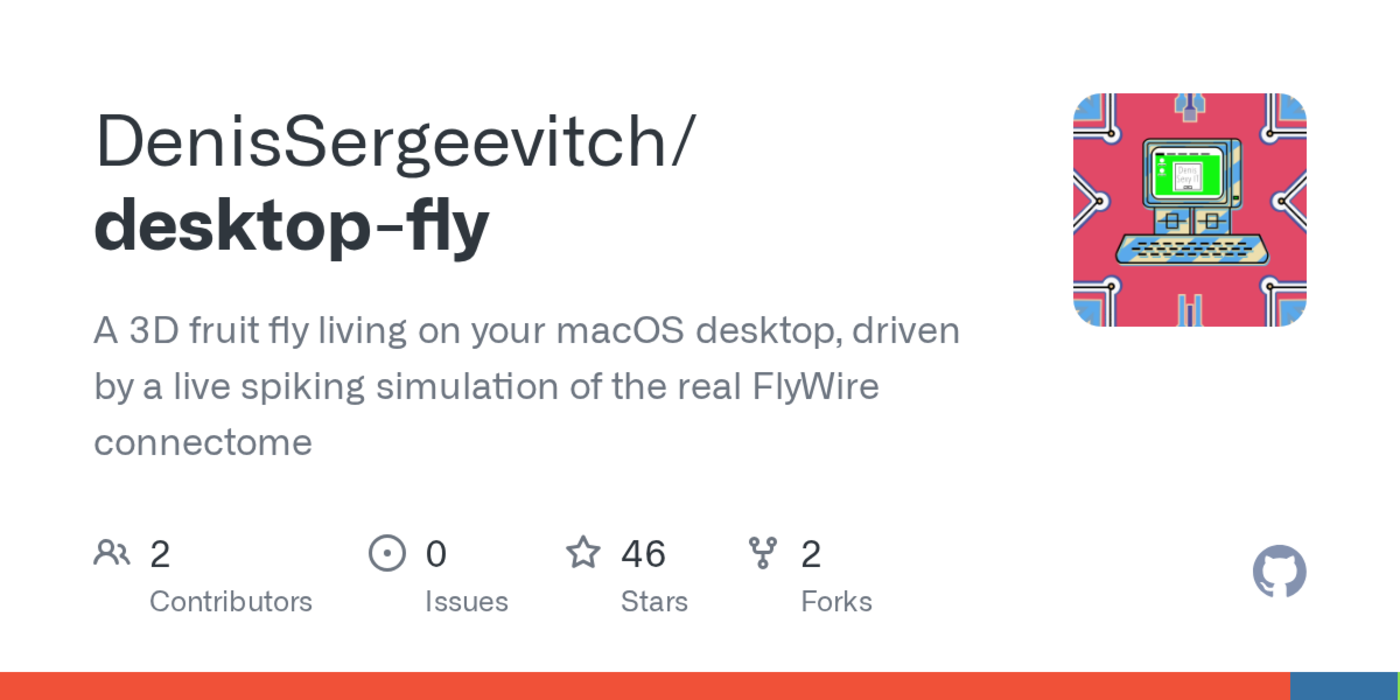 a 3d fruit fly on macos desktop powered by the real flywire connectome