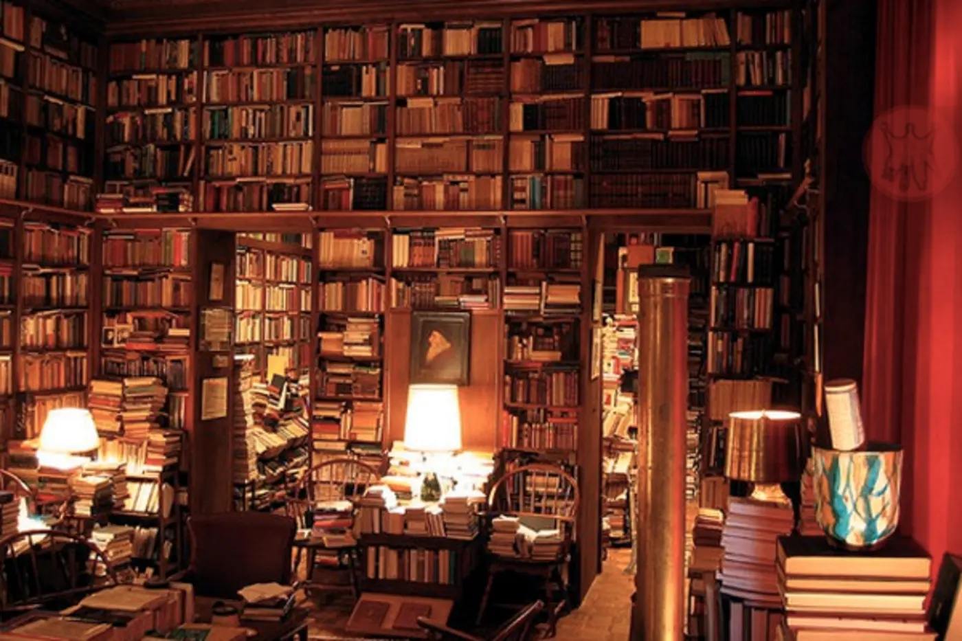 to become a better writer read as much as you can