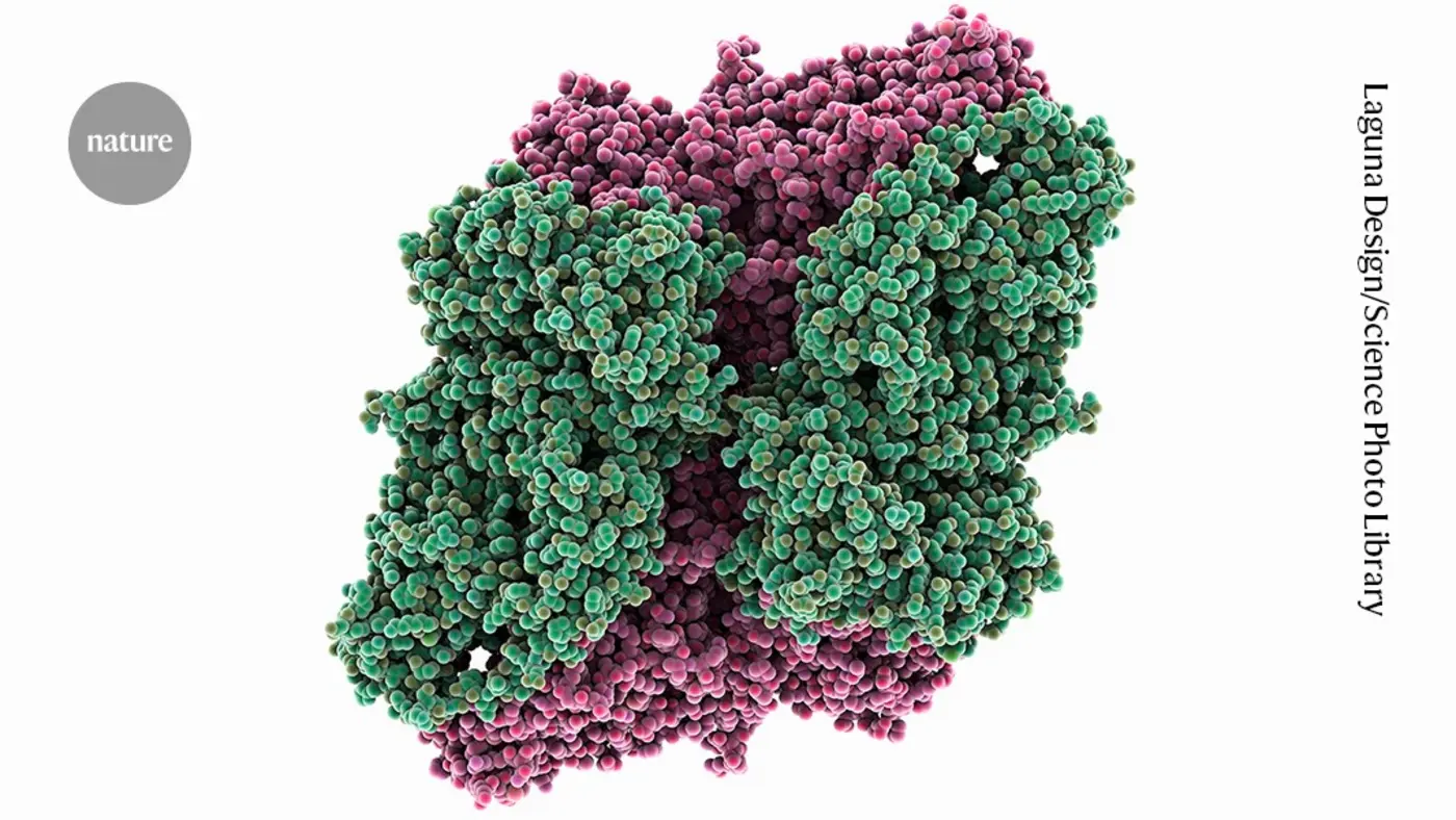 wrong antibody used in over 50 cell aging studies