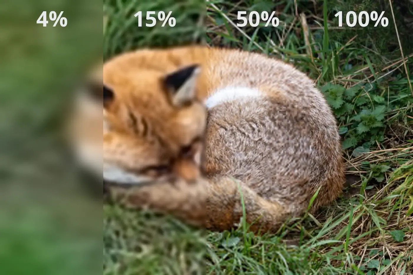firefox intent to ship jpeg xl
