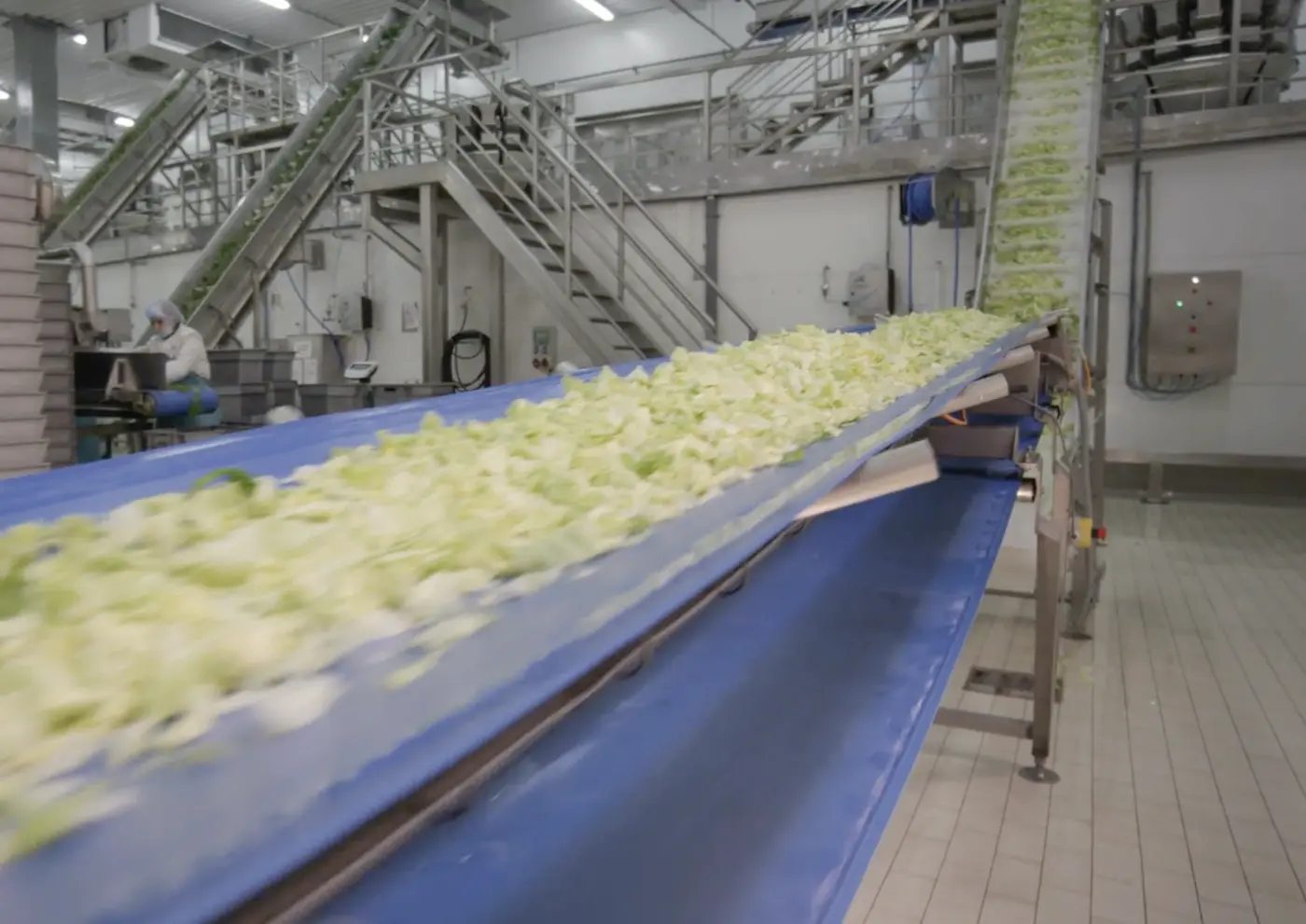taylor farms how one companyx27s reach became a national risk