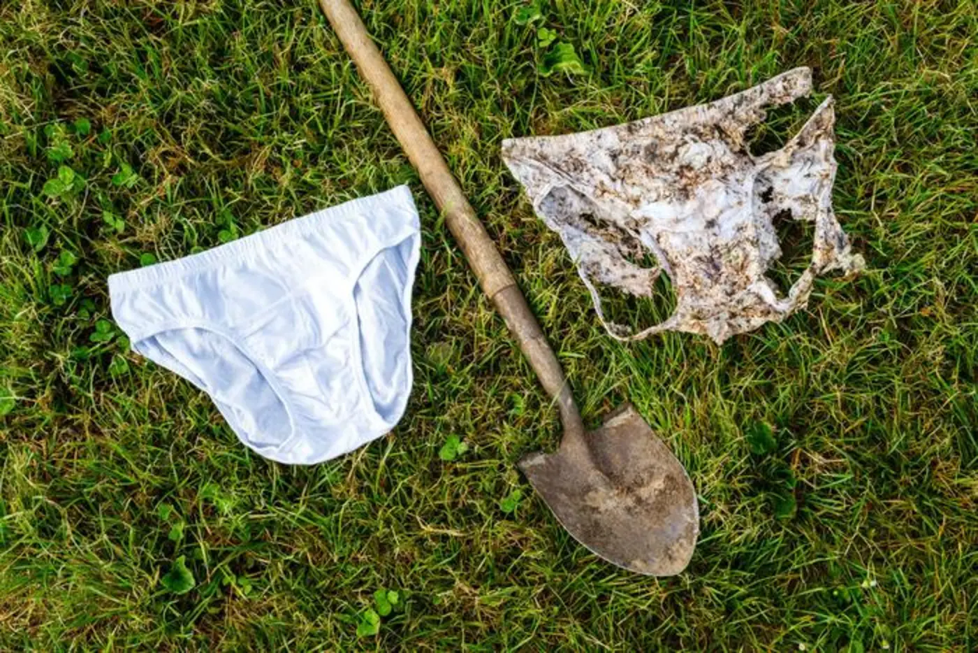 what 2000 buried underpants revealed about where soil is most alive