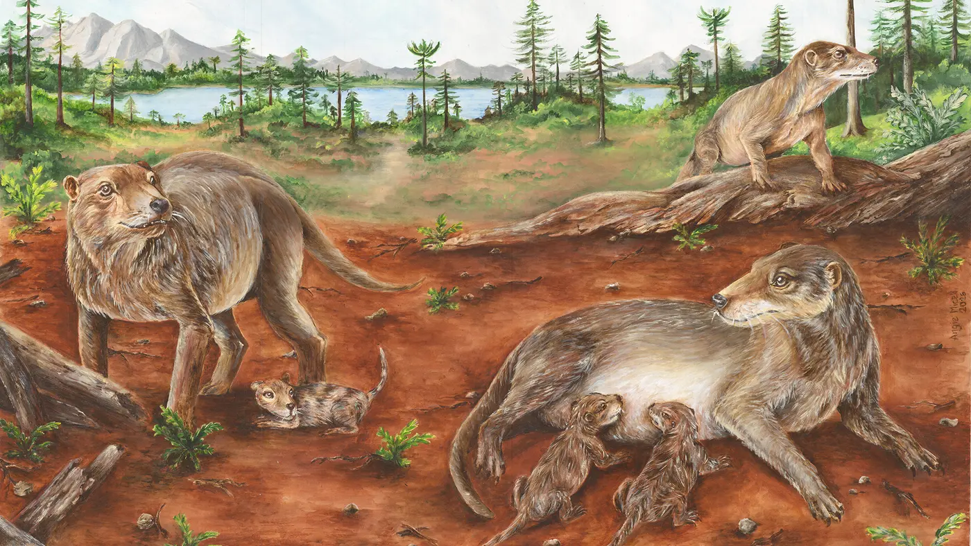 mammal ancestors gave live birth 90m yrs earlier than thought