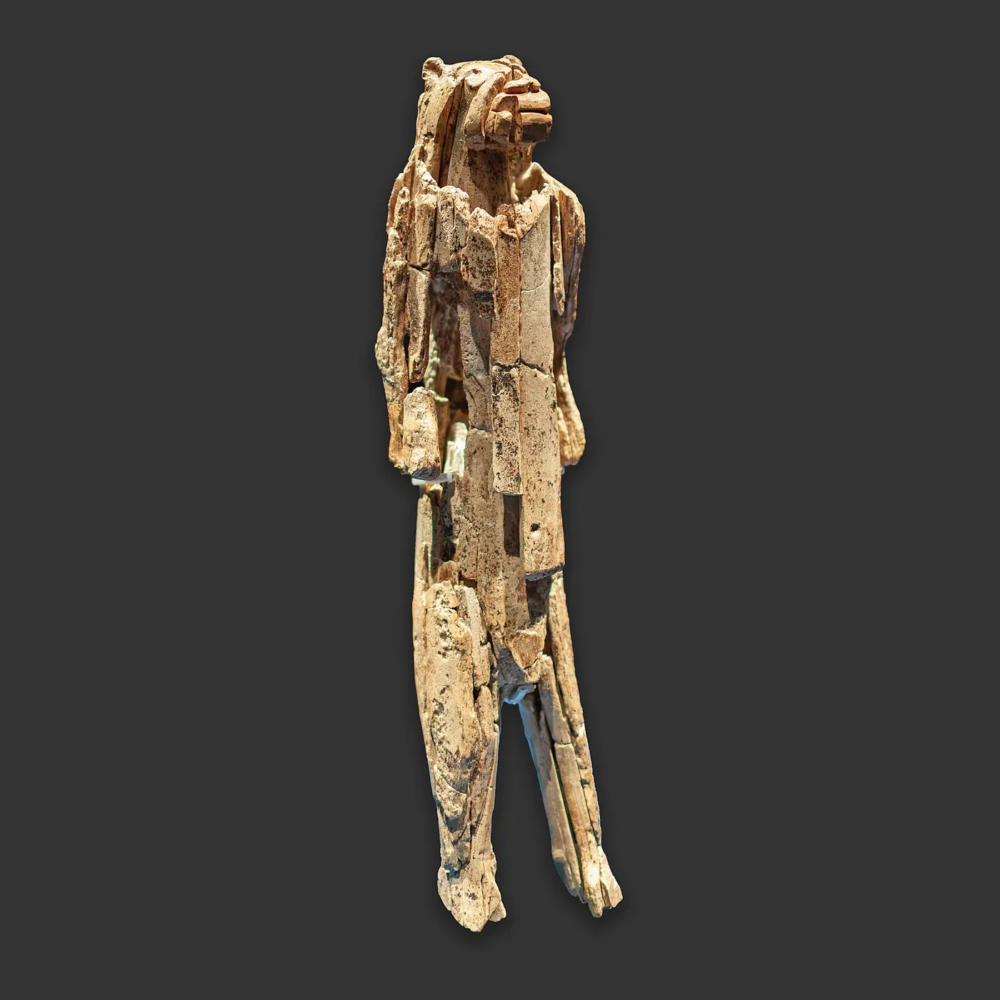 lionman the oldest confirmed statue ever discovered