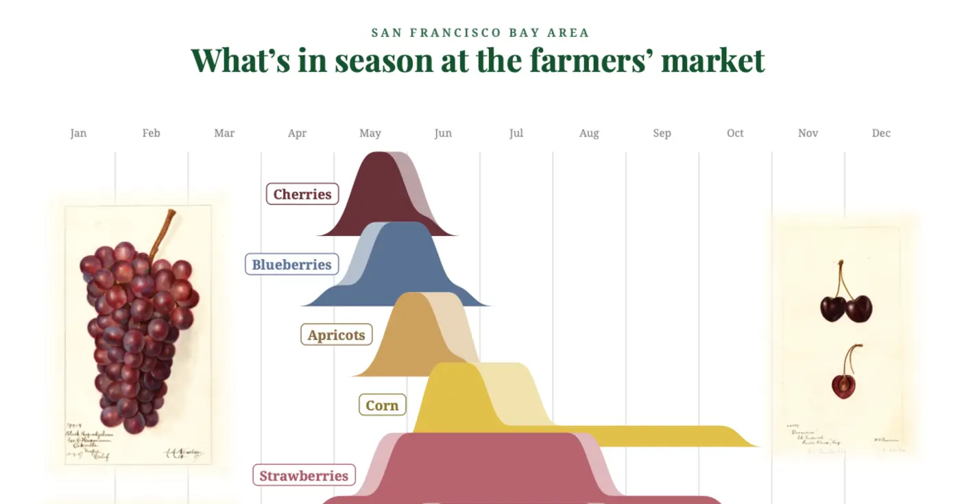 show hn vertumnus printable posters of farmersx27 market produce seasonality