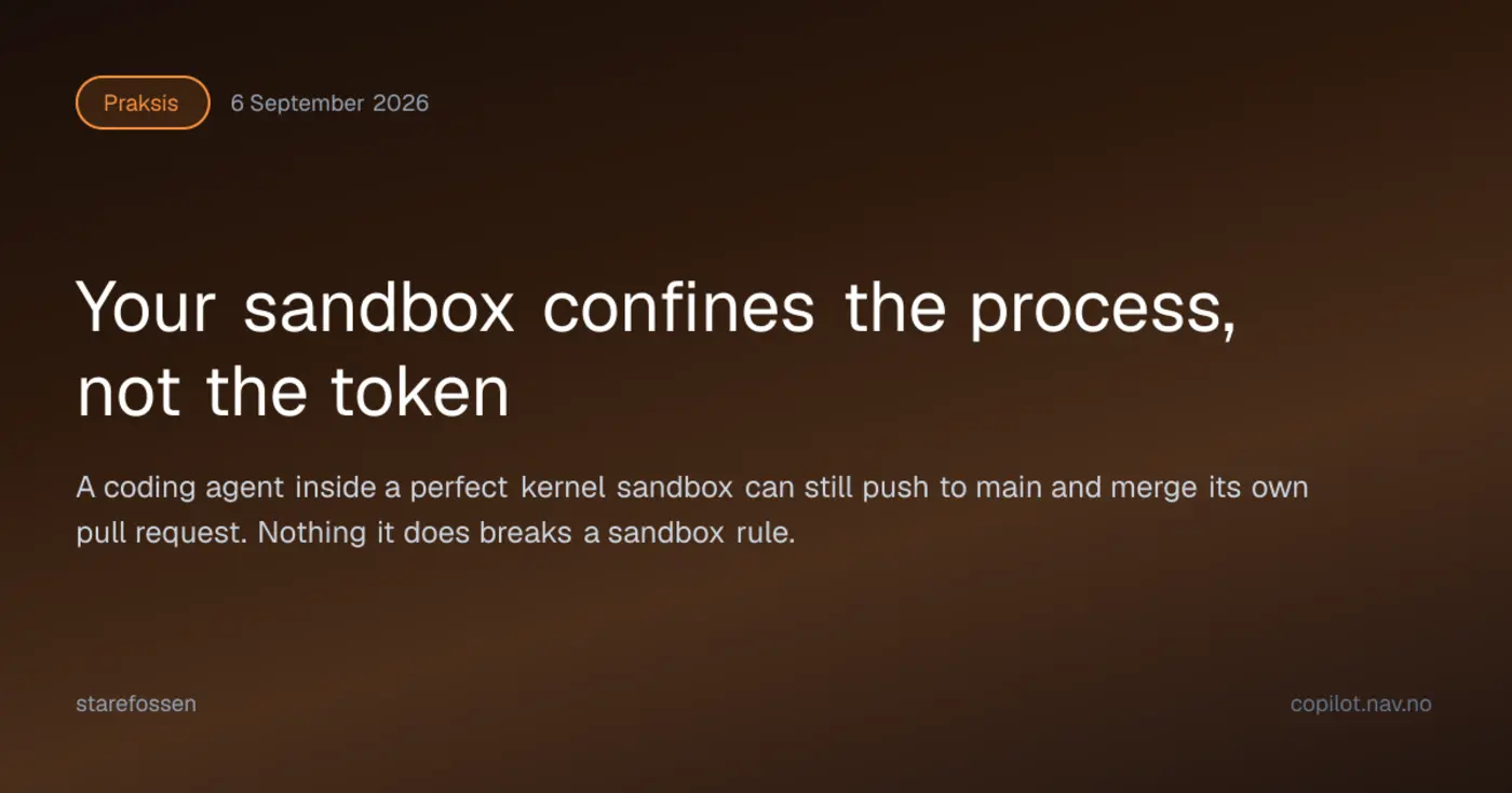 sandbox confines the process not the token