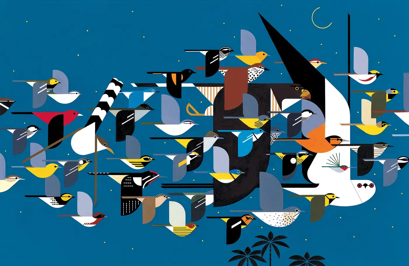 birdcast bird migration forecasts in realtime
