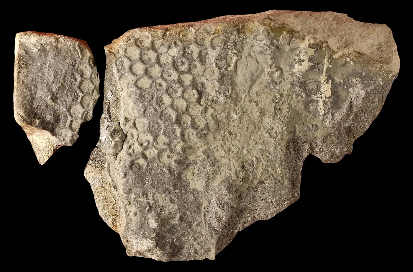 whatx27s creating these mysterious seafloor hexagons