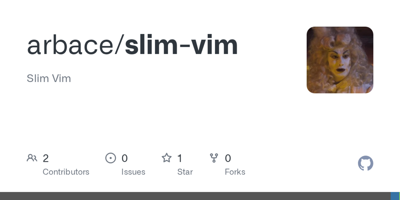 slimvim vim as one translation unit
