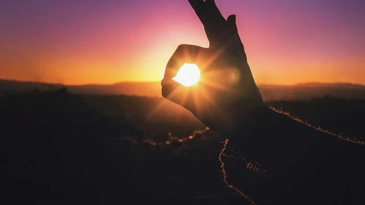 natural light is an essential nutrient