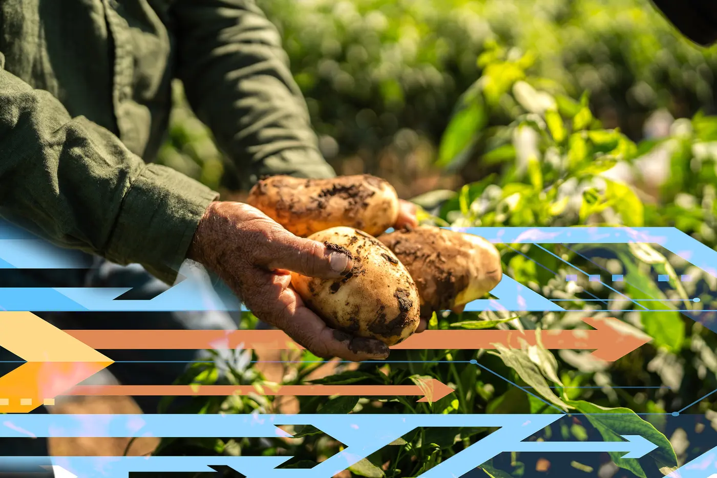 study predicts large disparities in access to food water and energy in 2050