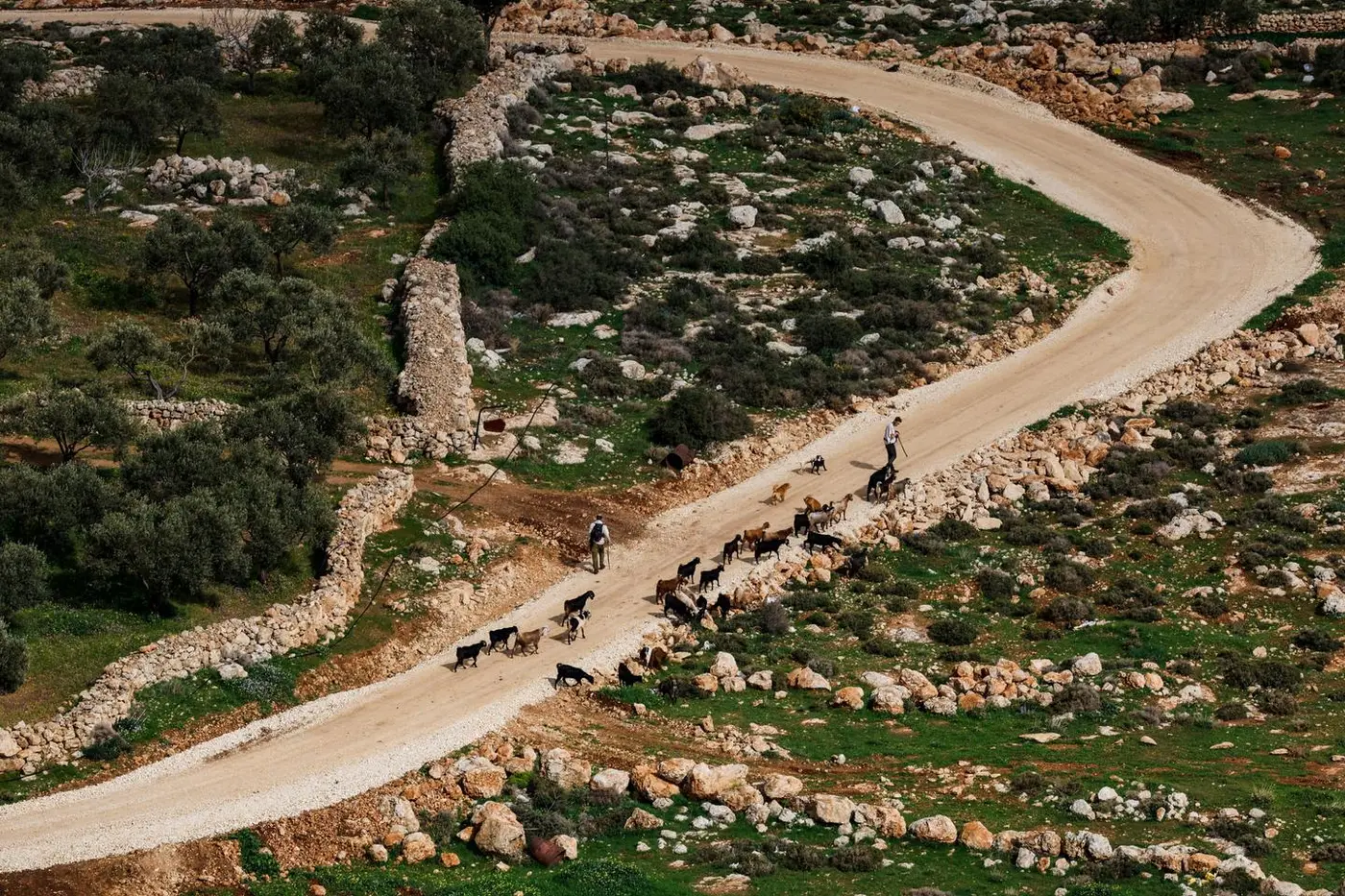 countries with franceuk announce sanctions on israeli settlements in westbank