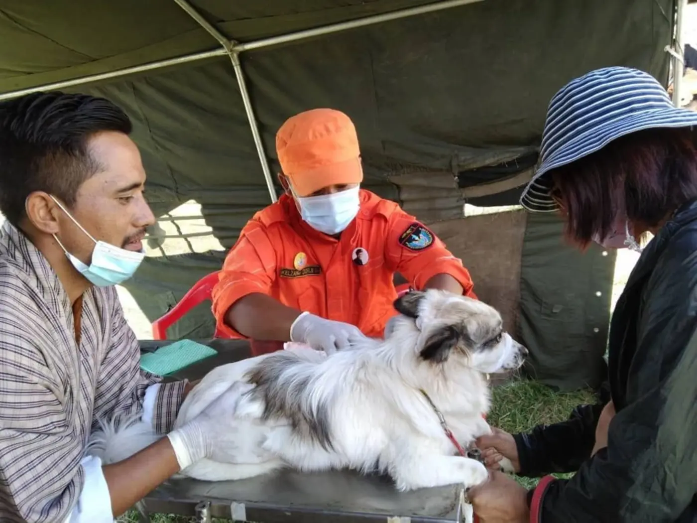 who validates bhutan for eliminating dogtransmitted human rabies