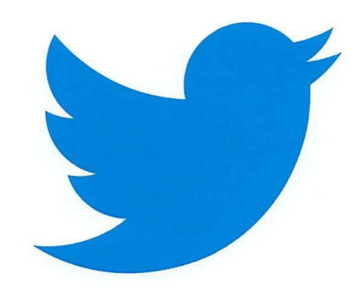 tweet and the bird logo apparently enter the public domain