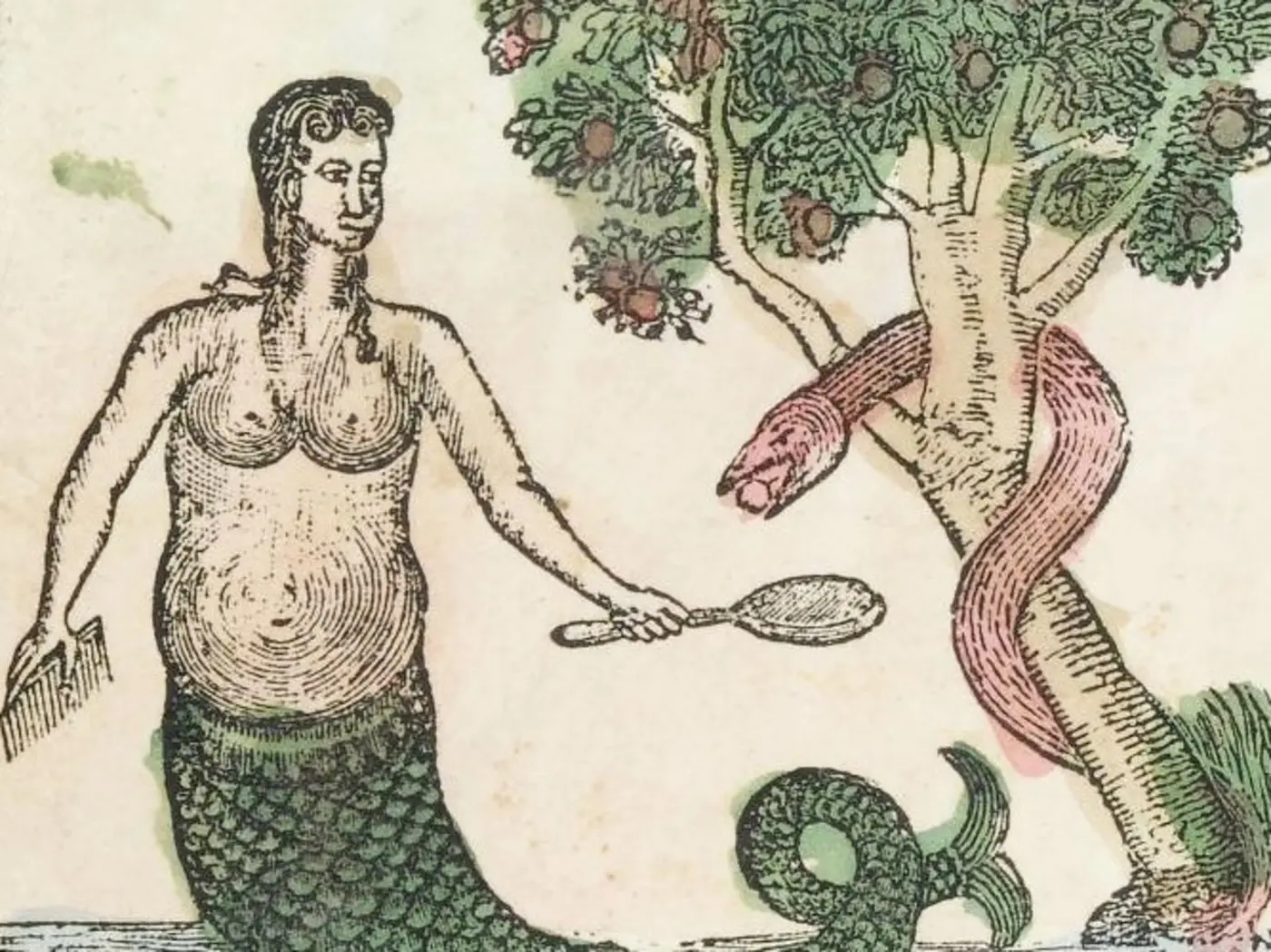 metamorphosis transformations in the early modern flap book 19th century