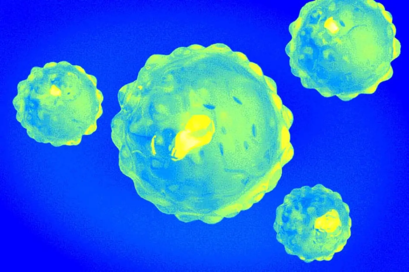 ai made 16 new viruses