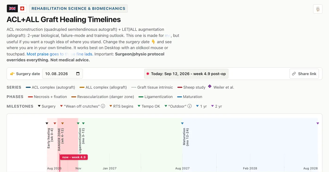 interactive acl reconstruction healing timeline