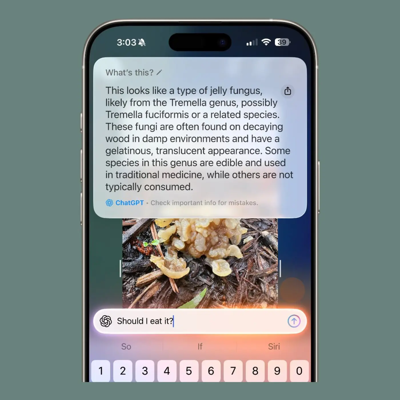 apple considering ads inside visual intelligence code suggests