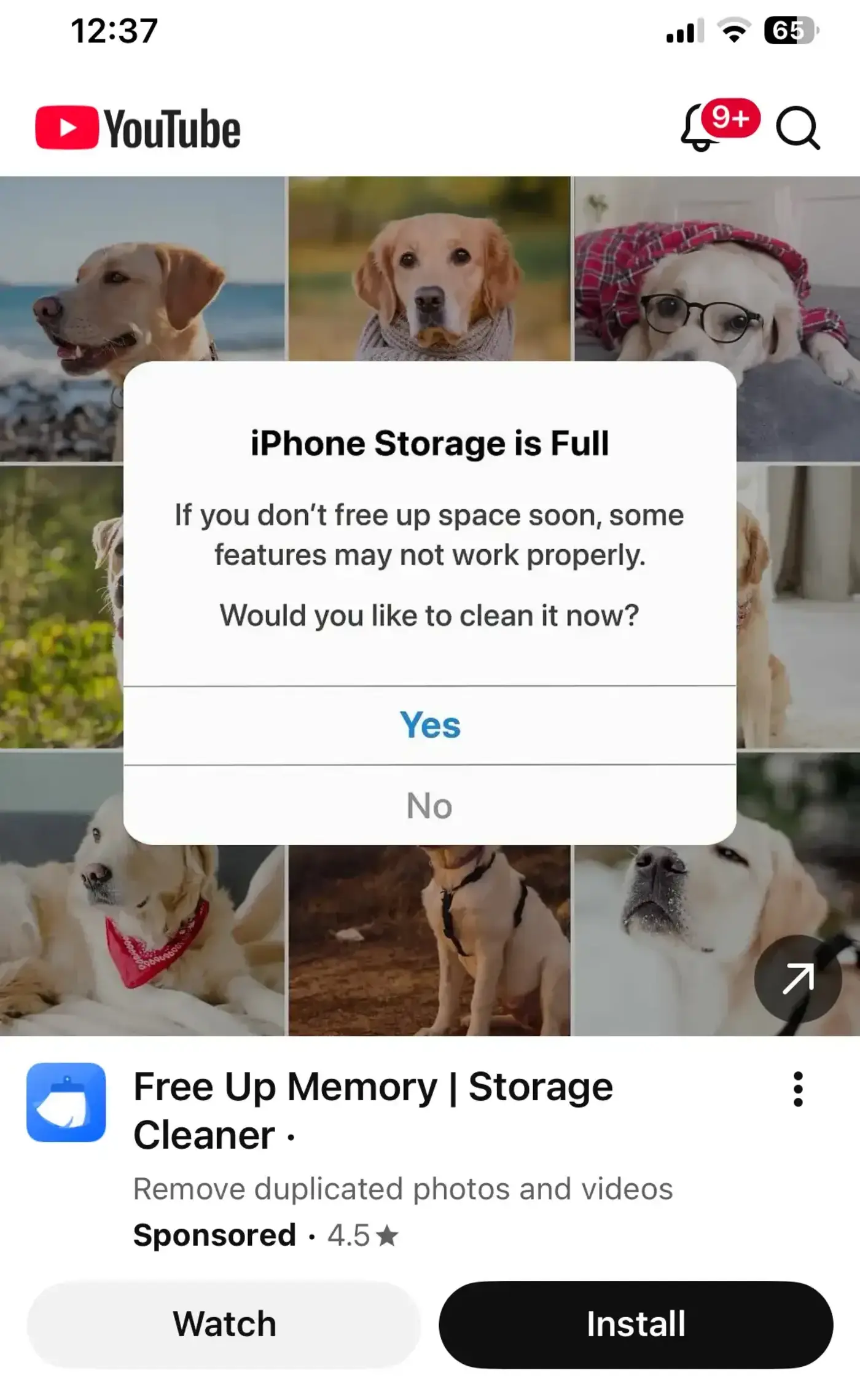 why is google still serving dodgy ads