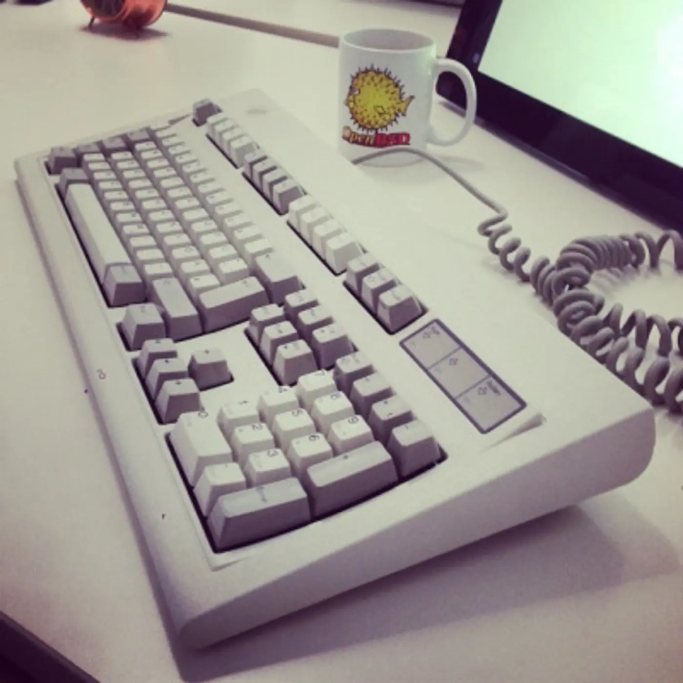 i put my startup esdenera on hold
