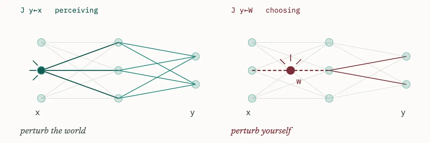 what is it like to be a neural net