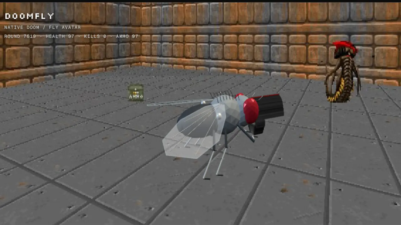 the latest weird thing to play doom is the mappedout brain of a fruit fly