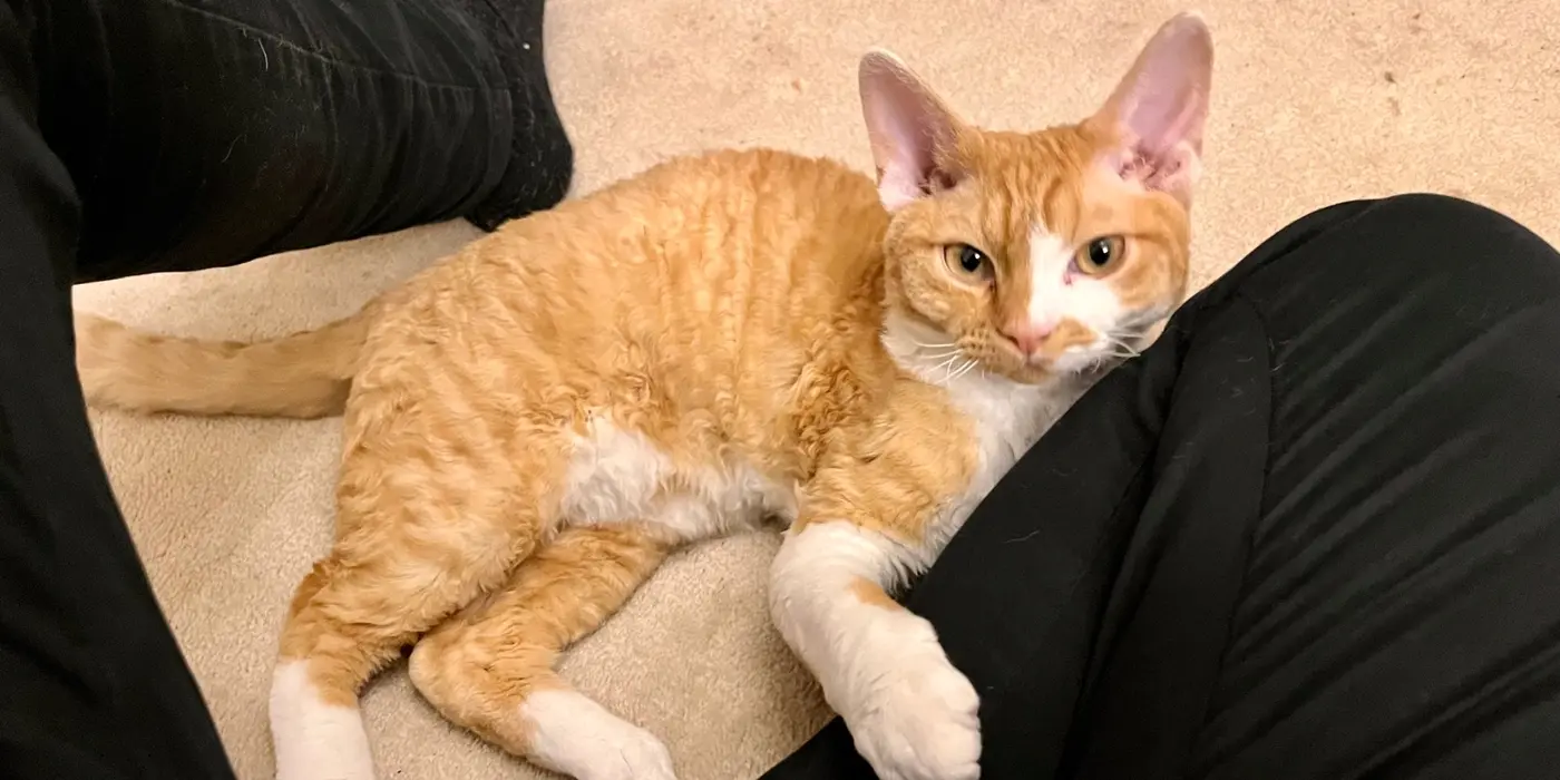 why targz files canx27t be combined with cat