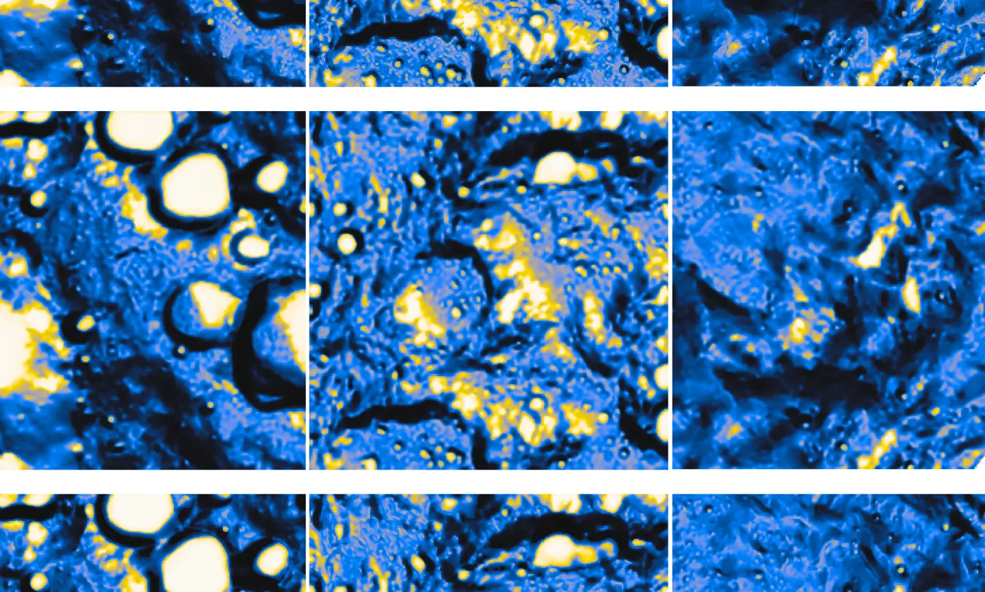 nasaibm lunar foundation opensource geospatial ai model