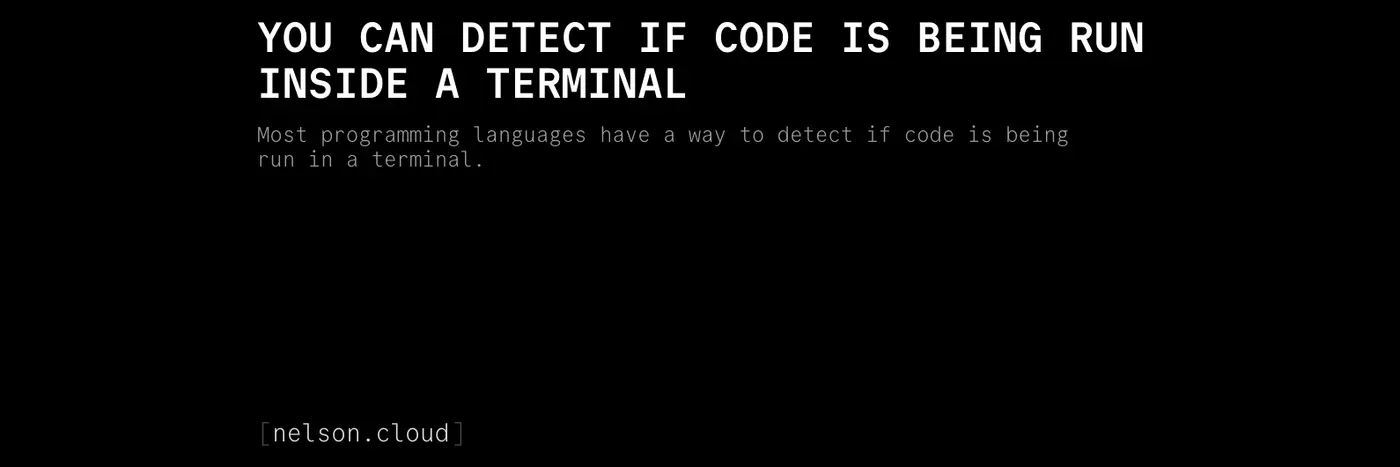 you can detect if code is being run inside a terminal