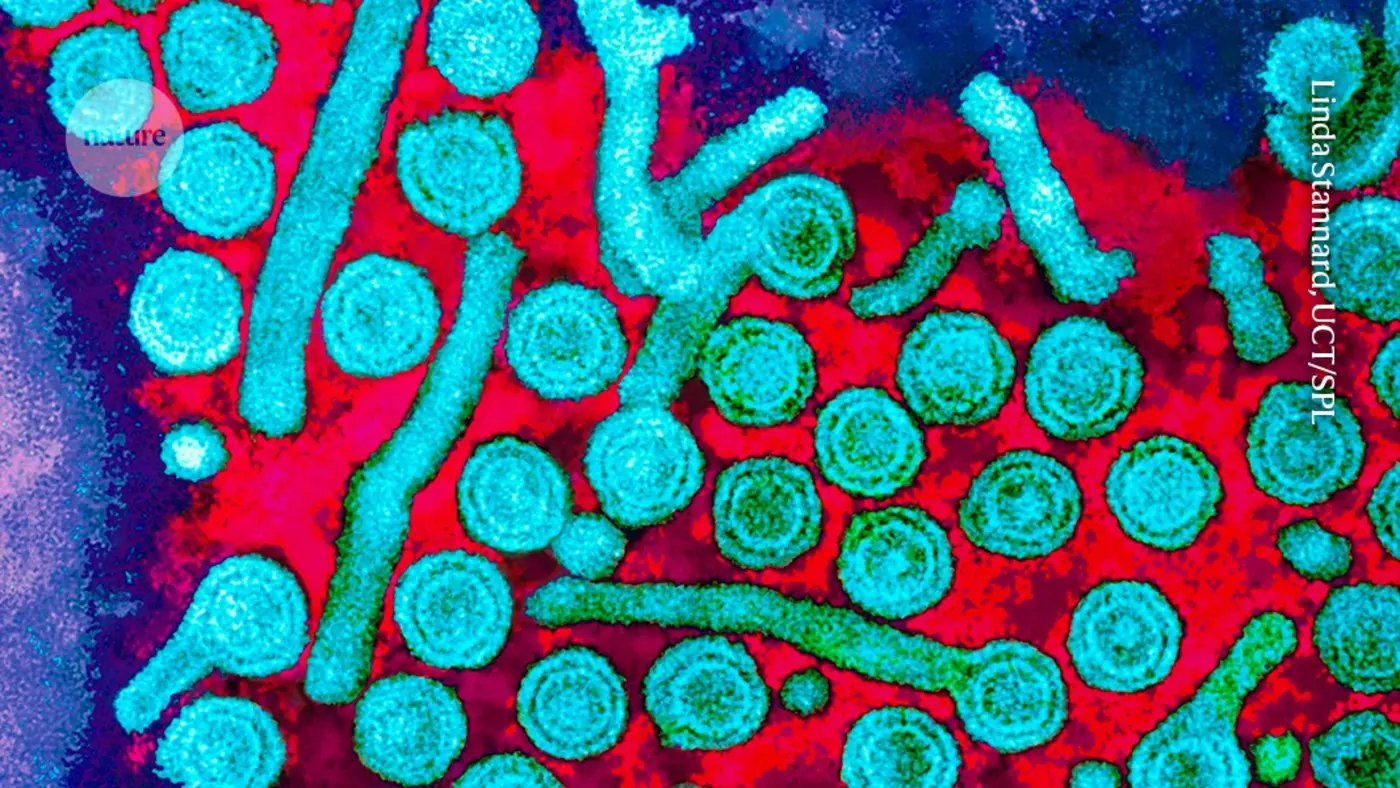 x27epigeneticx27 editing banishes hepatitis b virus