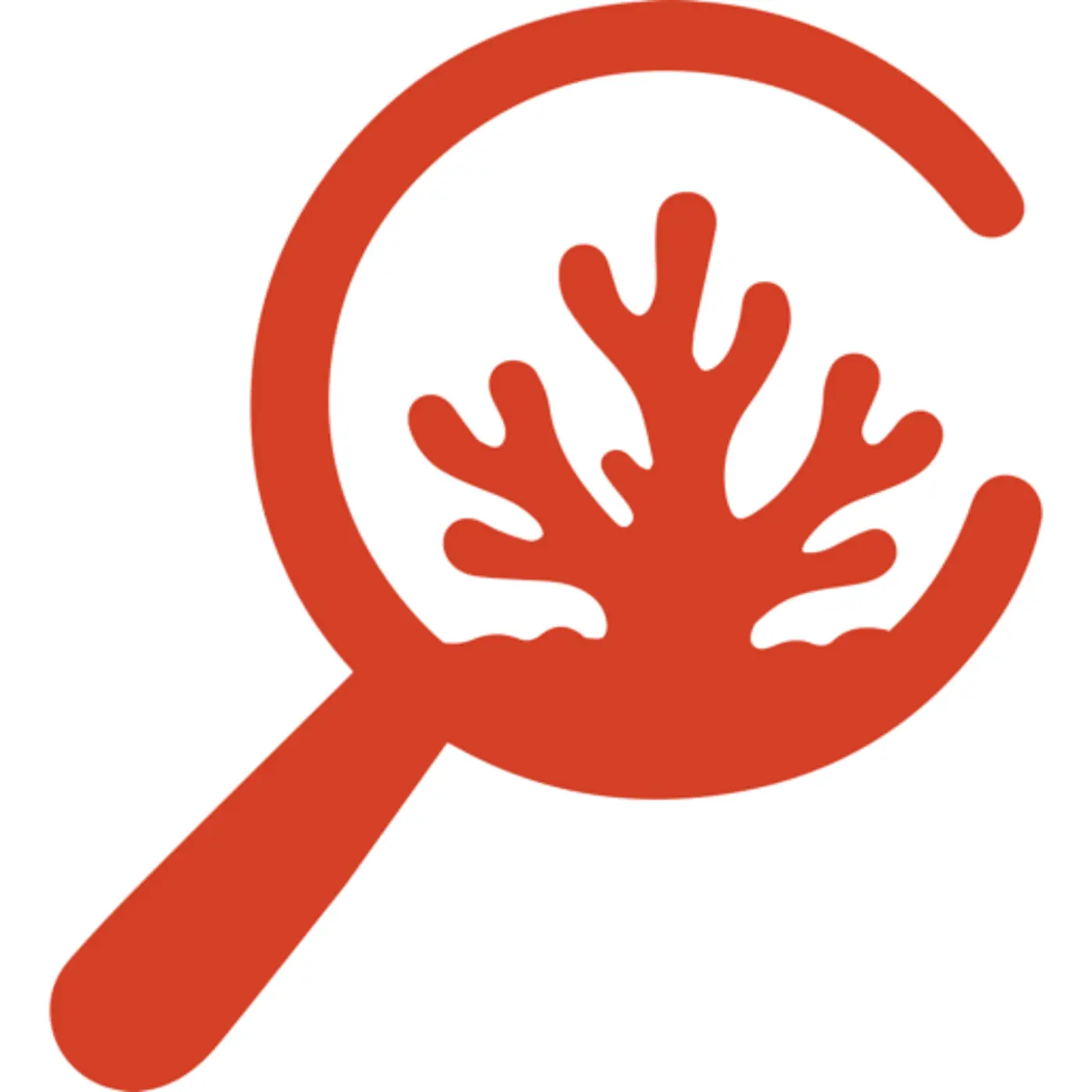 show hn fast inference for deep seek flash v41 469 toks for coding
