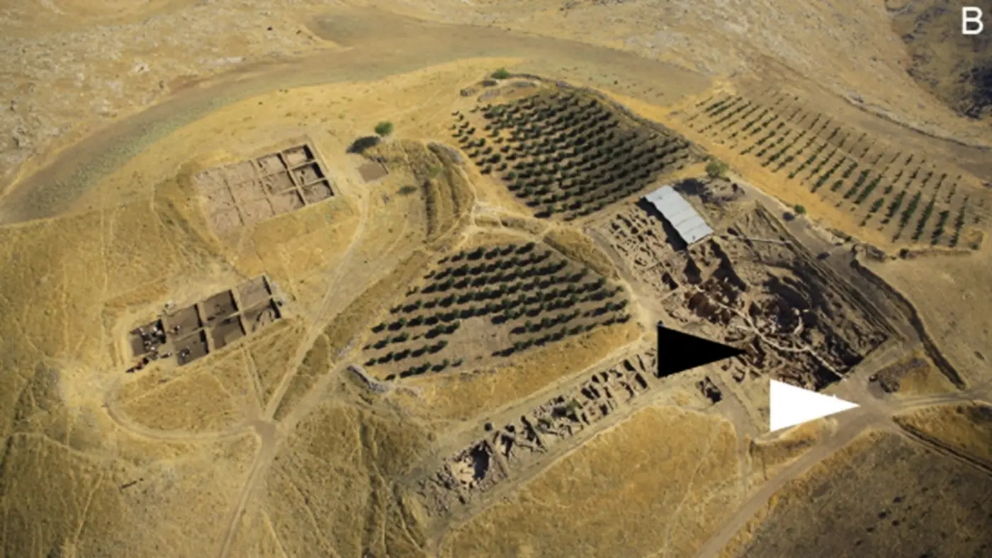 12000yearold gbeklitepe burials explain scattered bones