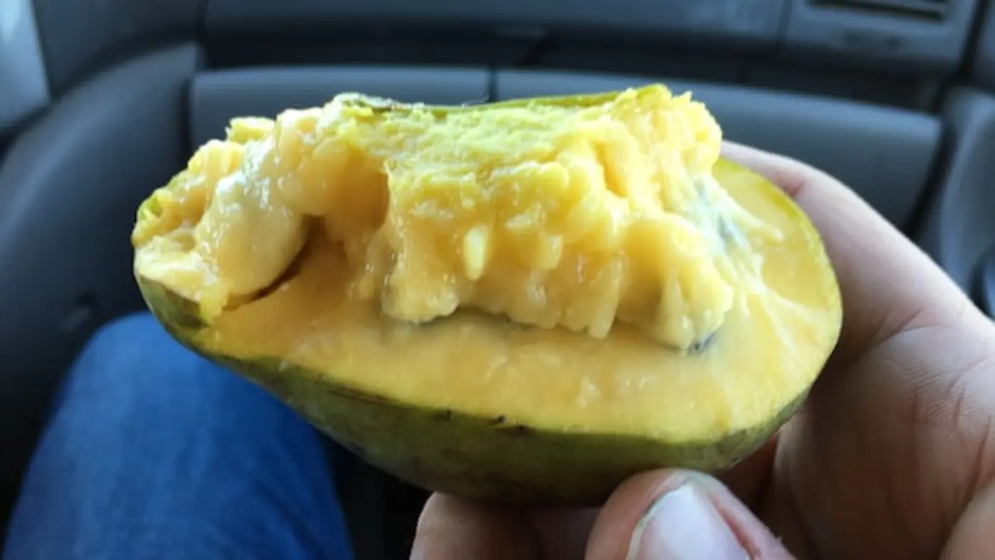 behold the pawpaw