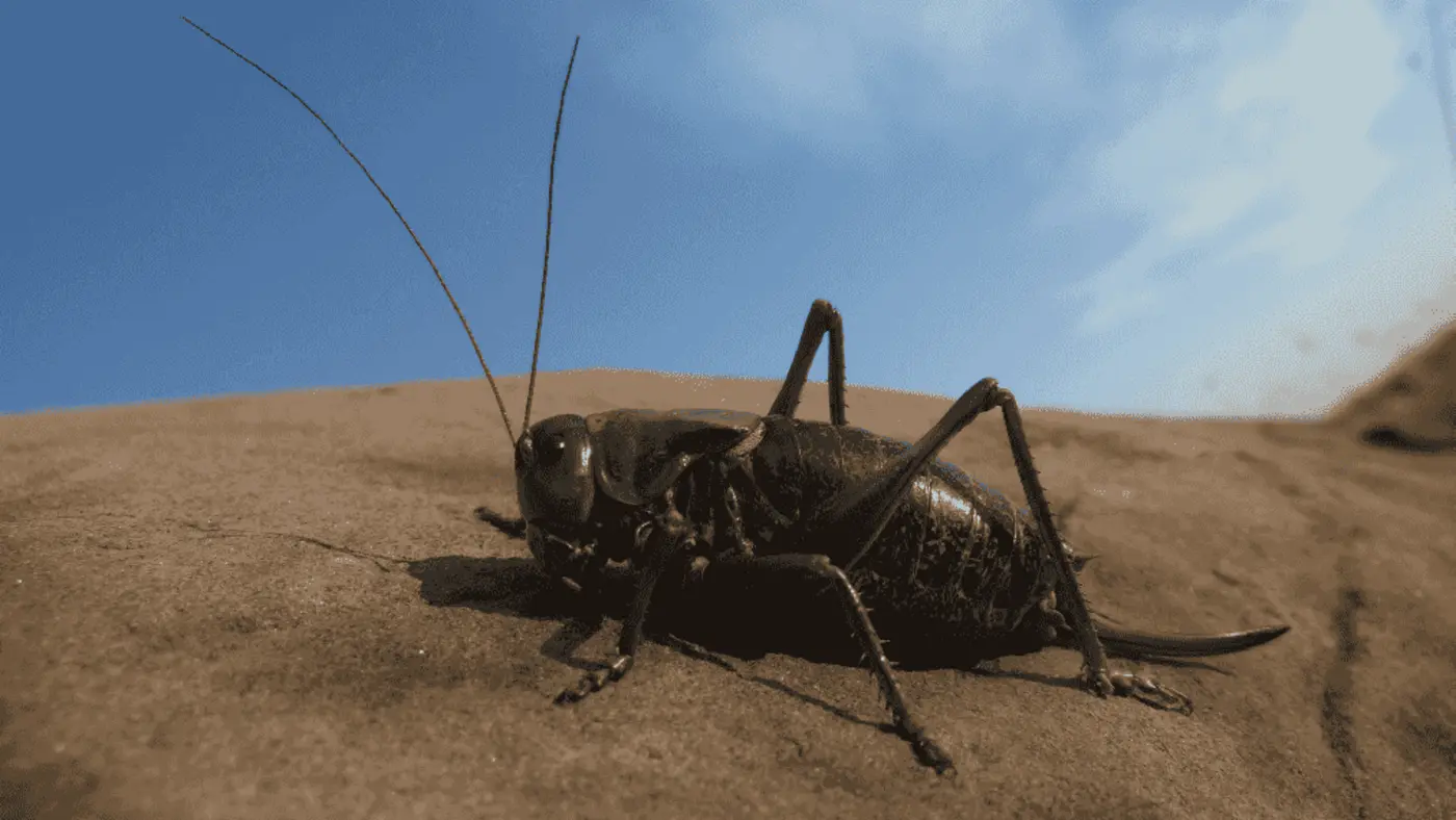 pragmatic anthropomorphism or how to talk to an autocompleting cricket