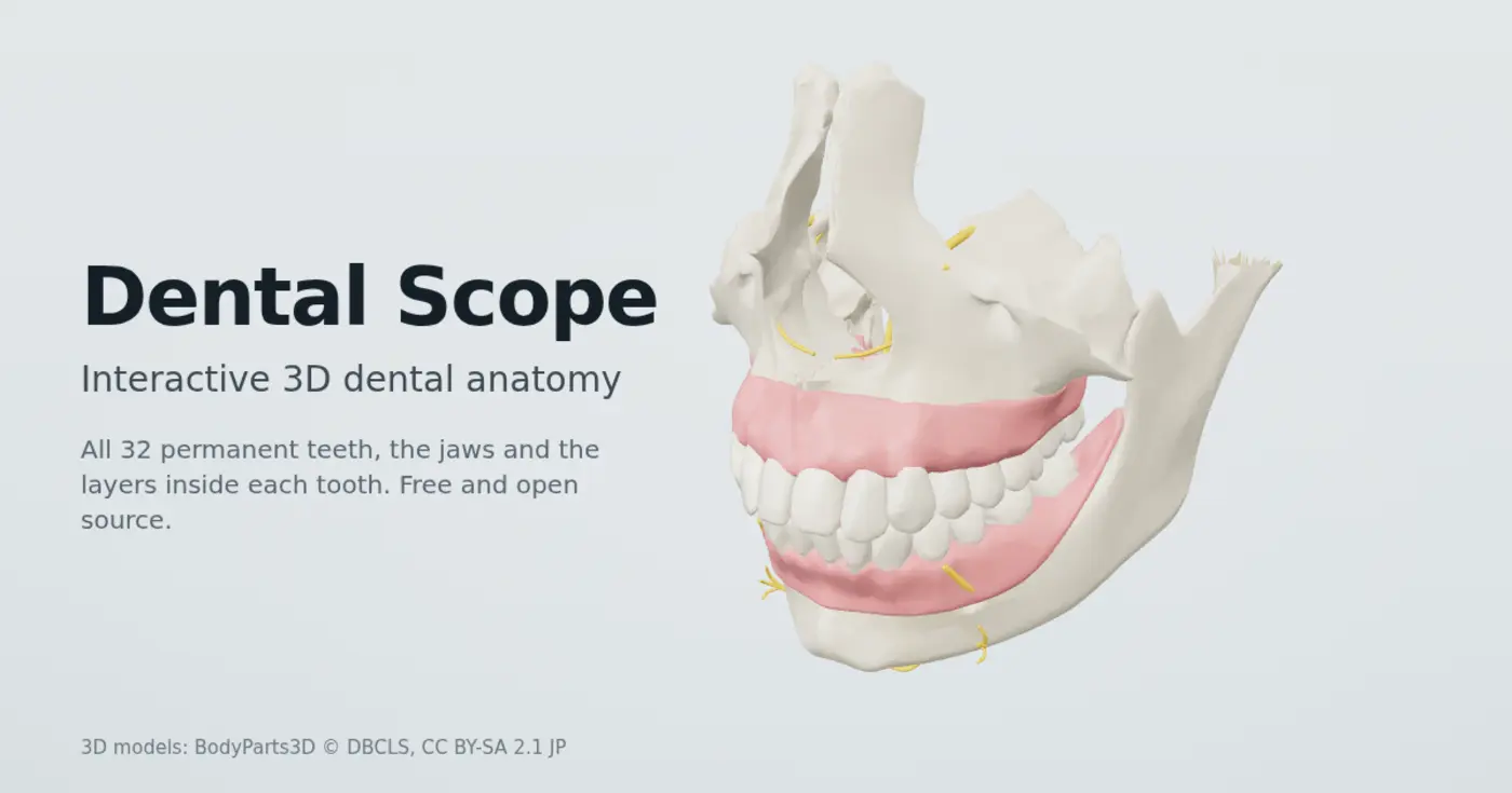 built dental scope