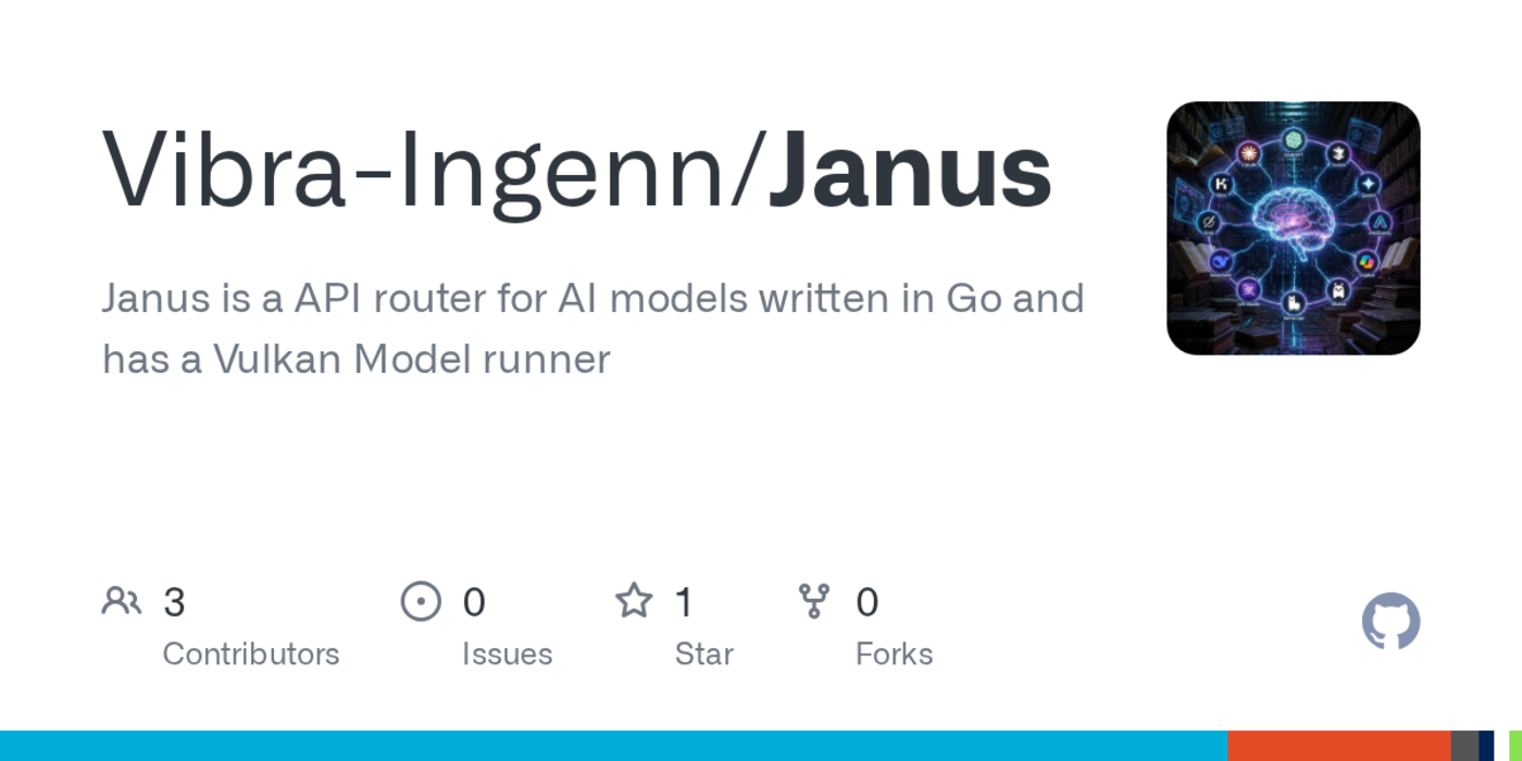 show hn janus go binary that runs gguf models via vulkan on amdintelnvidia