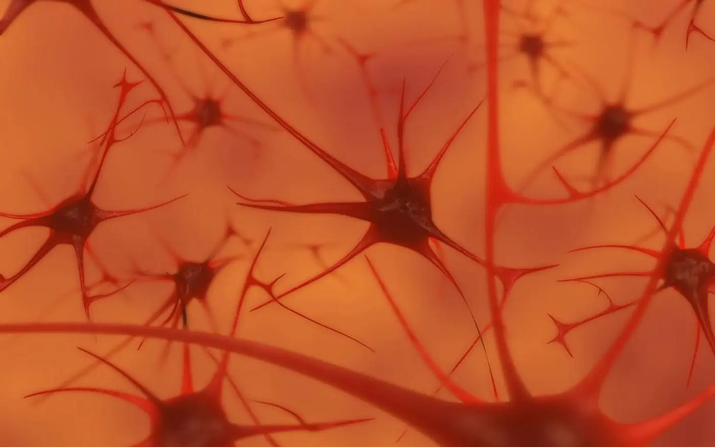 the empty brain your brain does not process information it is not a computer