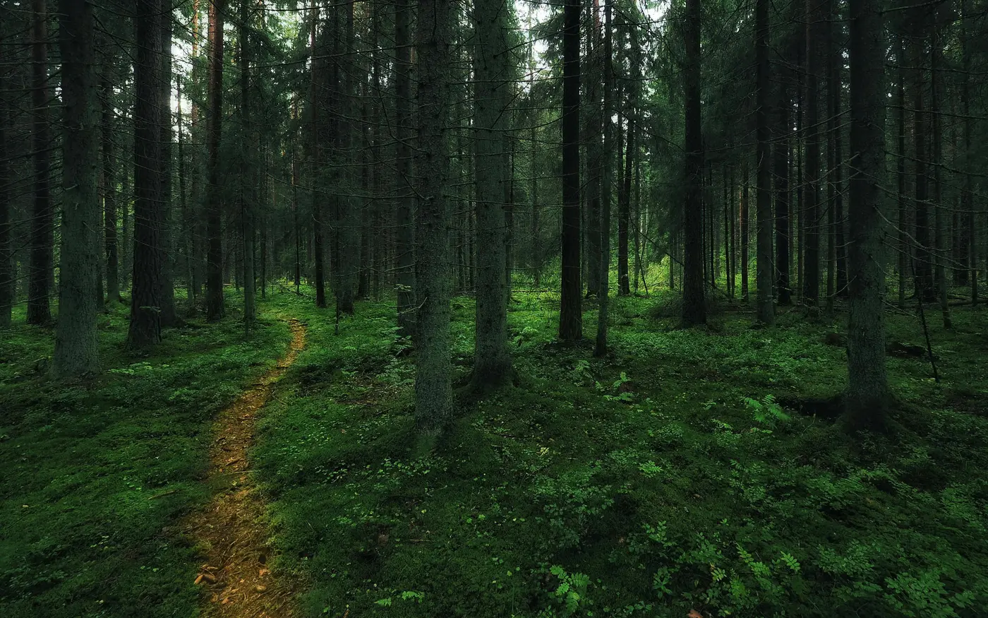 making a gtk application in haskell part 1