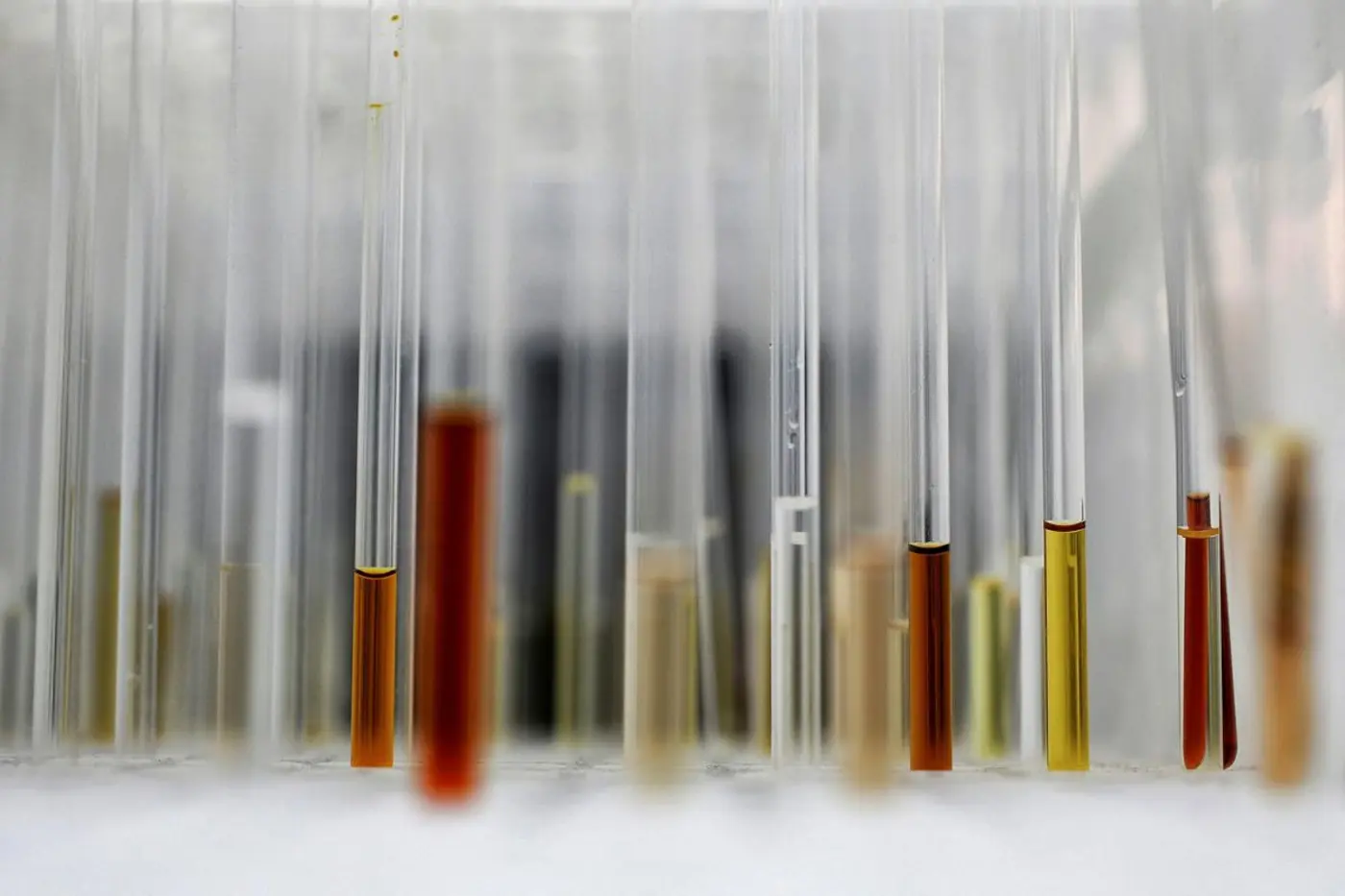 how to assemble science