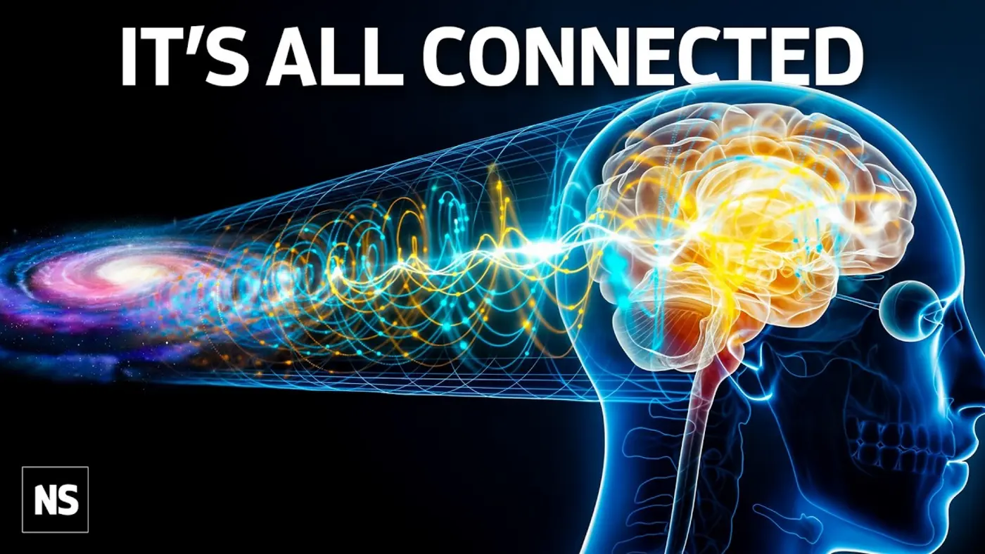 your brain might be a quantum machine video
