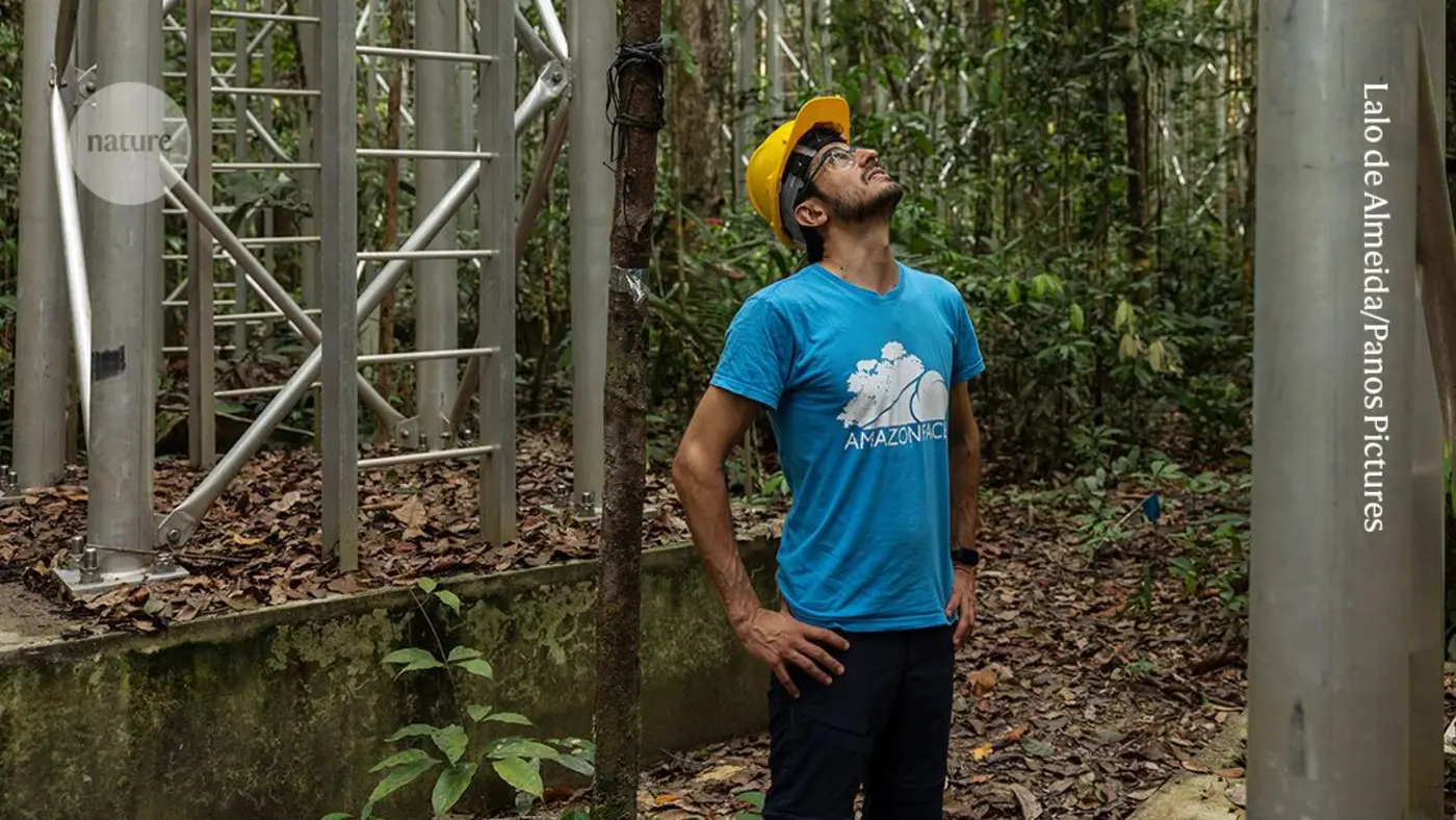 an experiment to glimpse the future amazon rainforest